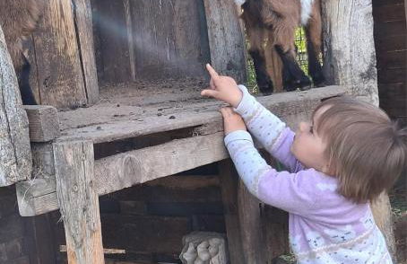 Bed and Bike Rheine - Foto 55