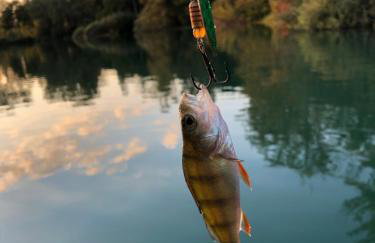 Ferienhaus "BASTEK1" am See mit Kamin & WLAN - Domek Letniskowy BASTEK - Photo 20