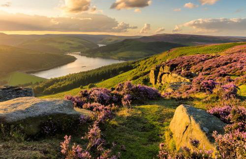 Wychwood - Uk49559 - Foto 10