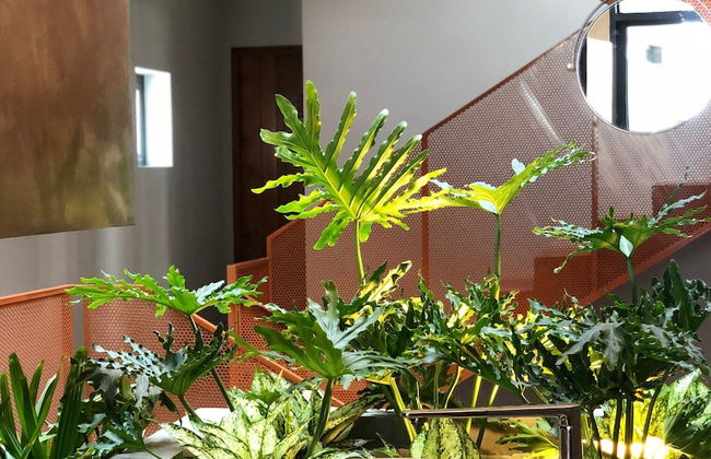 Shelter Stay Da Nang - Foto 41