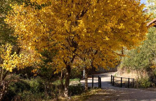 Genciana, Casa Rural con encanto en La Montaña Leonesa - Photo 47