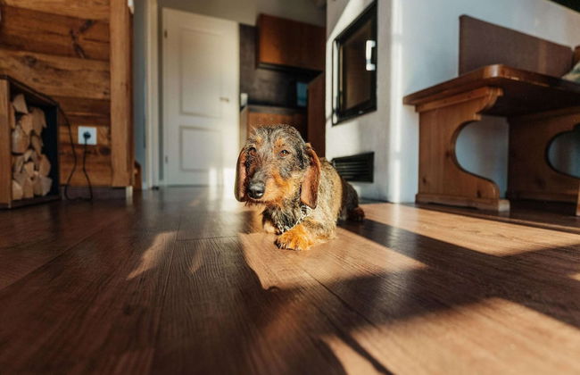 Chalet in Schierke Near Ski Slopes - Foto 6