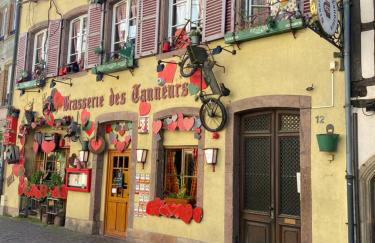 ALSACE Gîte 3étoiles climatisé prox Colmar, Eguisheim, parking, jardin - Foto 41