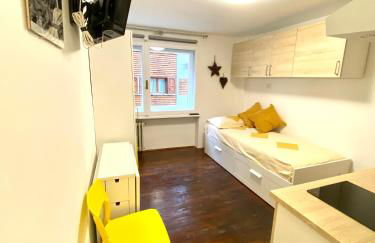 Luna's Cozy Apartment, skiin skiout in centre - Foto 6