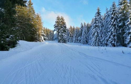 L'échappée Belle - Foto 8