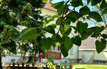 Stadtrandtraum Flughafen Porsche Messe Leipzig - Foto 53