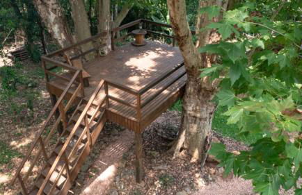 Cabanas dos Plátanos - Foto 38