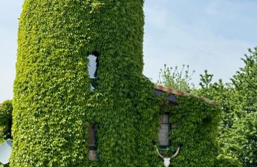 Turm auf altem Bauernhof - Foto 1