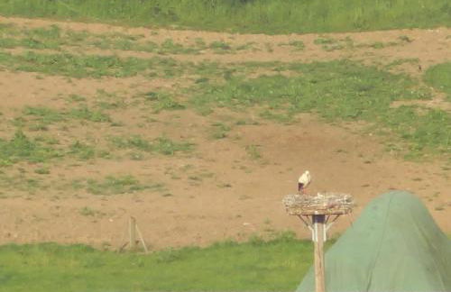 Ruhe - Oase am Eichwald - Photo 20