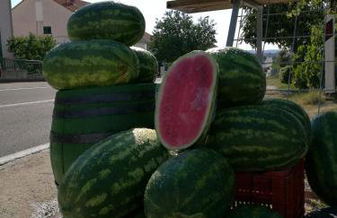 Apartman Branko - Photo 4