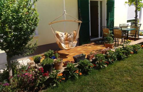 Kakteengarten - Foto 1