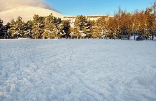 Woodside Cottage - Foto 15