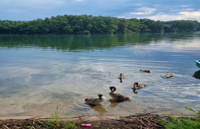 Fantastic Bungalow in Lagów with Hot Tub - Foto 24