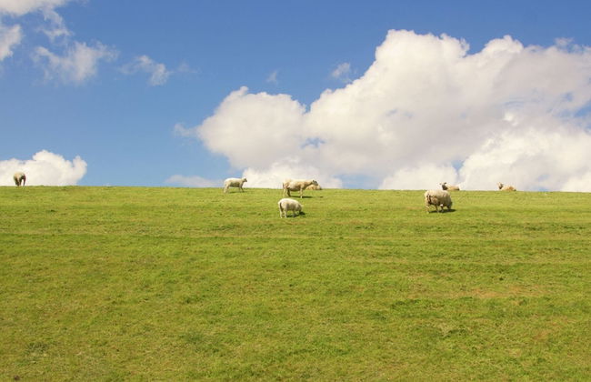 Seaside Villa With Garden - Foto 20