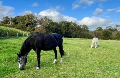 LE DOMAINE DE SOANI - Piscine intérieure, Jacuzzis & Sauna - ADULT ONLY - Foto 18