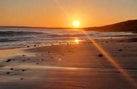 Les hortensias de papy - Foto 13