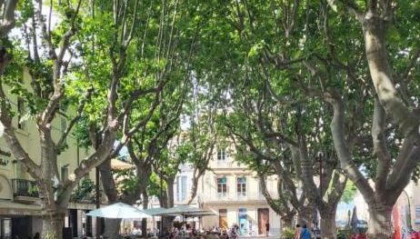 La Terre du Midi à Sérignan - Foto 3