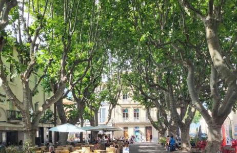 La Terre du Midi à Sérignan - Foto 3