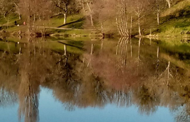 Le Domaine du Lambon - Foto 24