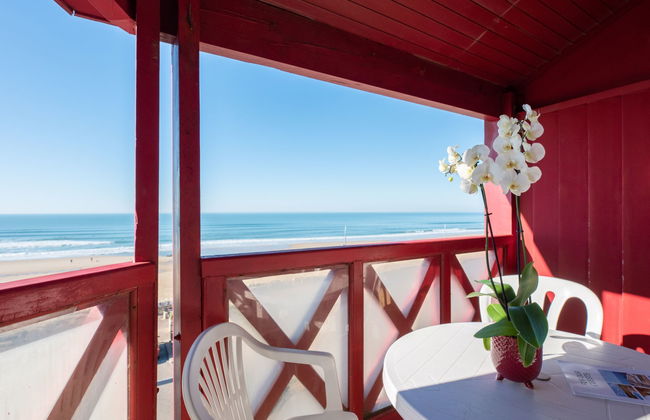 Primavéra - Foto 14