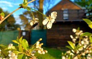 Stodoła HOME&CHILL - Foto 11