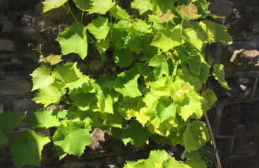 Kleine Milchbar Barrierefrei in den Bergen auf dem Hof Grindelborn - Foto 11