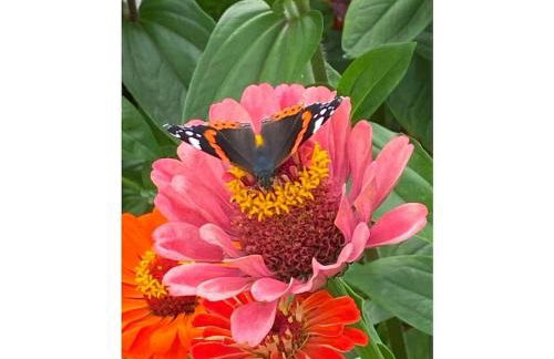 Am Wiiwegli Comfortable holiday residence - Foto 19