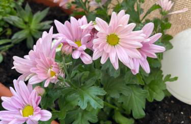 O'Rits Paris - Magnifique appartement proche Paris - Foto 18