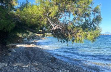 SeaTerra Boutique suite - Foto 39