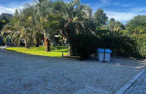 Quinta Das Palmeiras - Photo 28