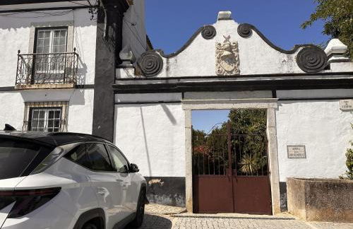 Sunshine Guesthouses in Azeitao and Algarve - Foto 30