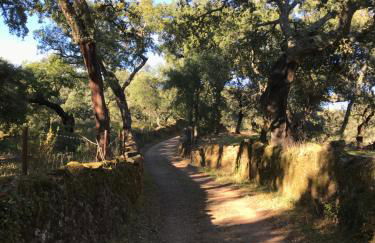 Casa Rural Sierra Tórtola 1 - Foto 89