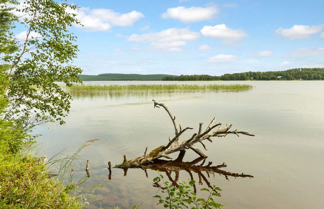 Villa vuorso - Foto 22