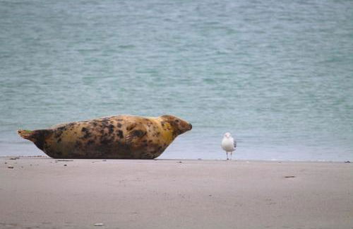 Steffis-Strand-Schule - Foto 4