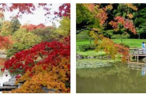 Arboretum Escape - Foto 14