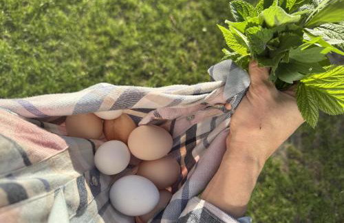 Ackermannia - Foto 16