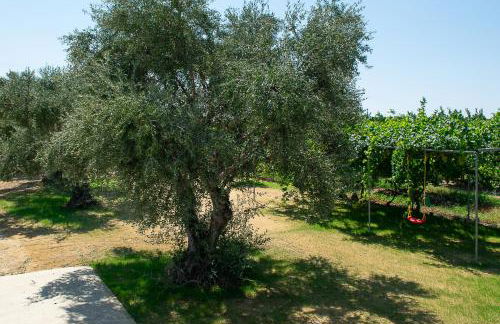 A wonderful relaxing place. Nice view. Romantic sunset - Foto 46