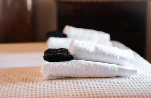 Olive Roots - Foto 19