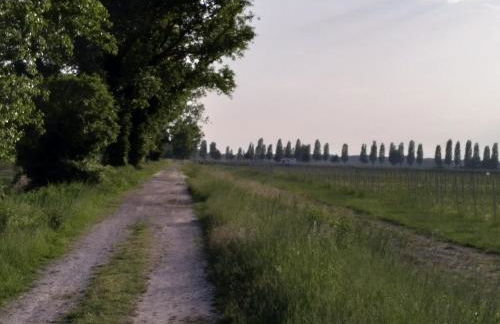 Residence Stradella Verde - Photo 25