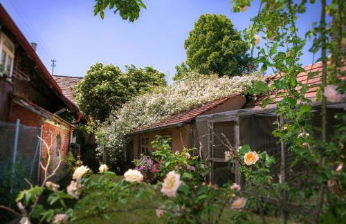 Historischer Vogtshof: eingezäunt | sonniger Garten | Kamin | Denkmalschutz - Foto 52