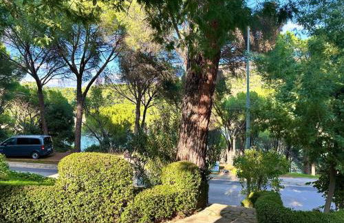 Beachside San Martin de Valdeiglecias - Foto 51