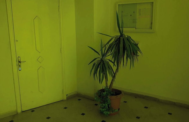 Rent Apartment In Tunis - Photo 30