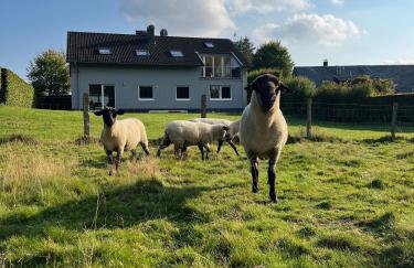 FerienLoft Eifeel Good - Natururlaub in Monschau - Foto 31