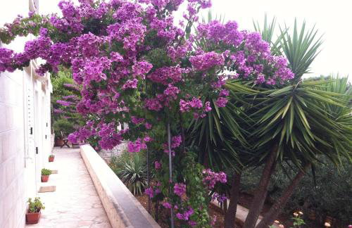 Villa Katja - Photo 69