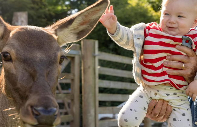 Luxury Safari Lodge Surrounded by Deer!! 'fallow' - Foto 31