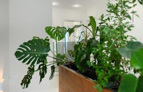 Villa Cascada - Foto 20