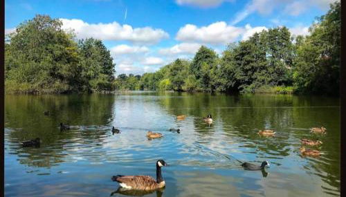 Lakeside studio - Foto 5