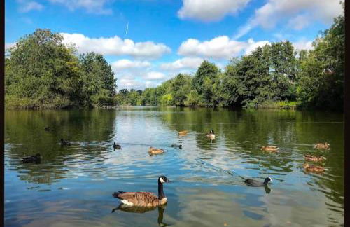 Lakeside studio - Photo 5