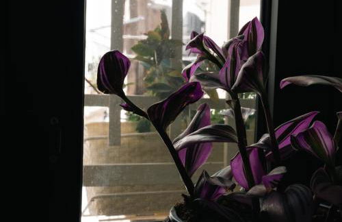 Opera Prima Apartment and Room - Foto 42