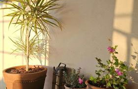 Casa com piscina e vista montanha Alenquer - Foto 11